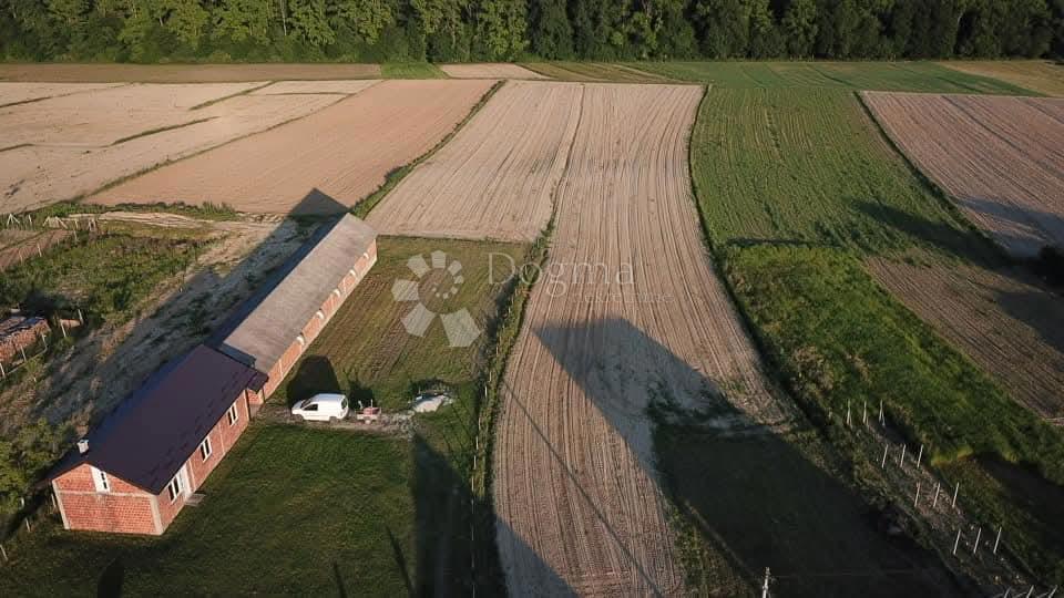 Casa Poljana Križevačka, Križevci, 292m2