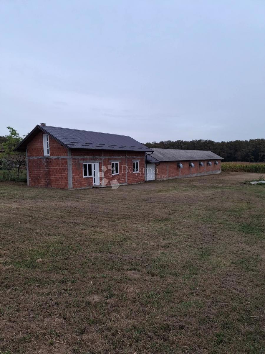 Casa Poljana Križevačka, Križevci, 292m2