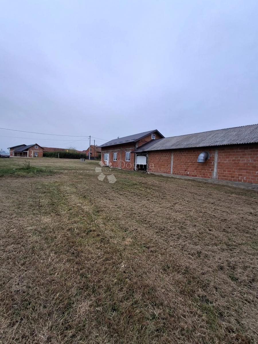 Casa Poljana Križevačka, Križevci, 292m2