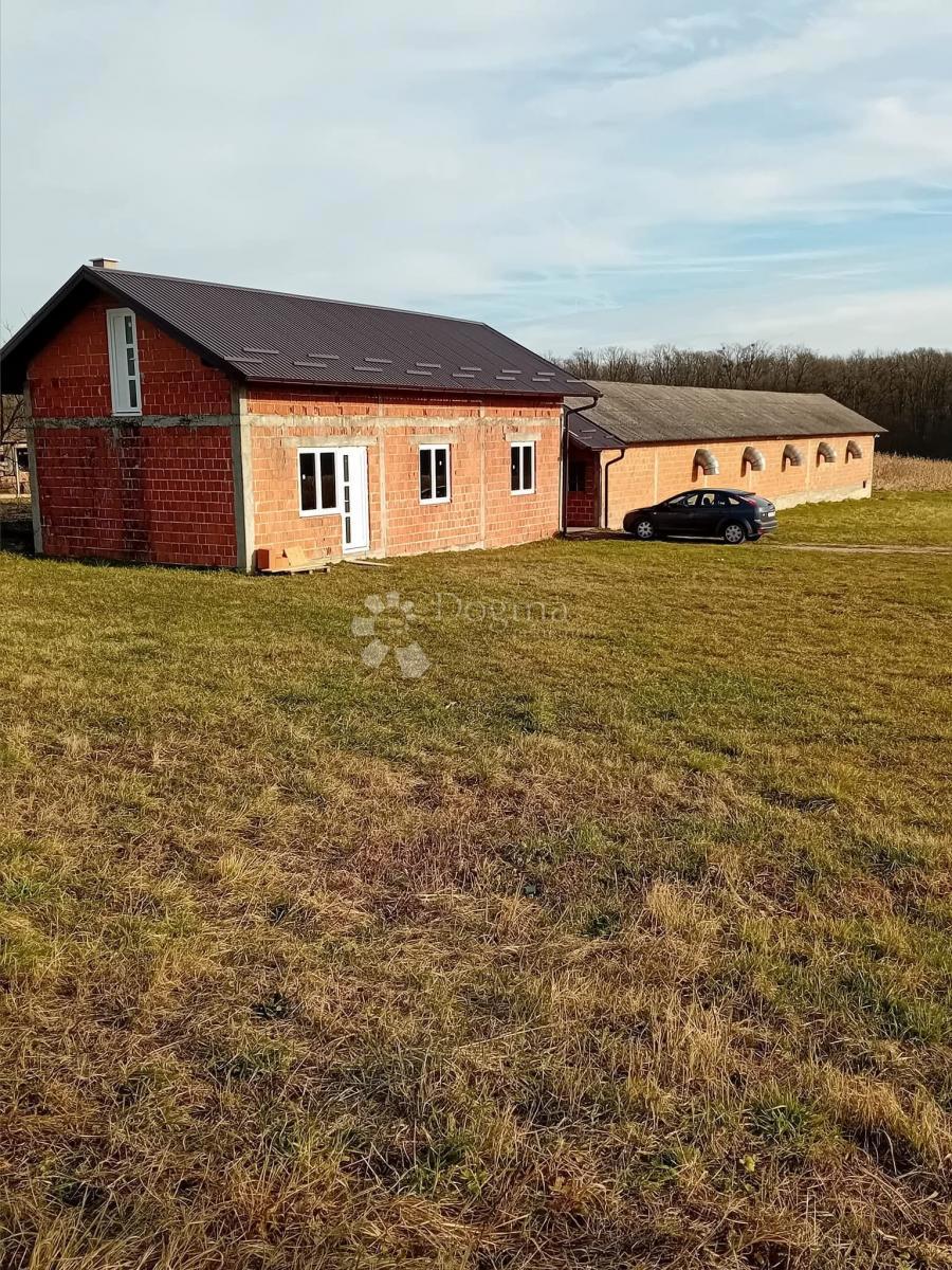 Casa Poljana Križevačka, Križevci, 292m2