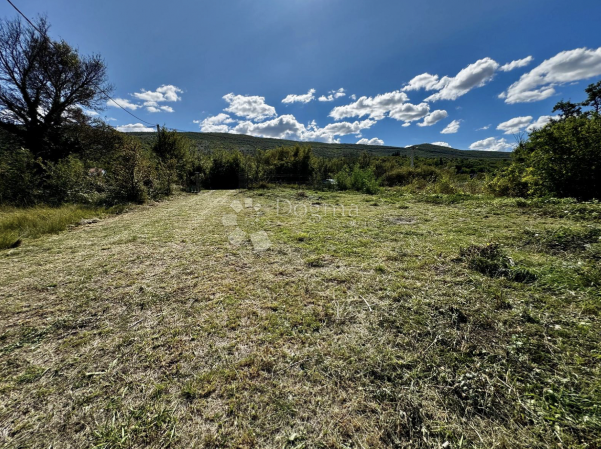 Casa Indipendente a Piano Terra con Ampio Terreno – Opportunità di Ristrutturazione