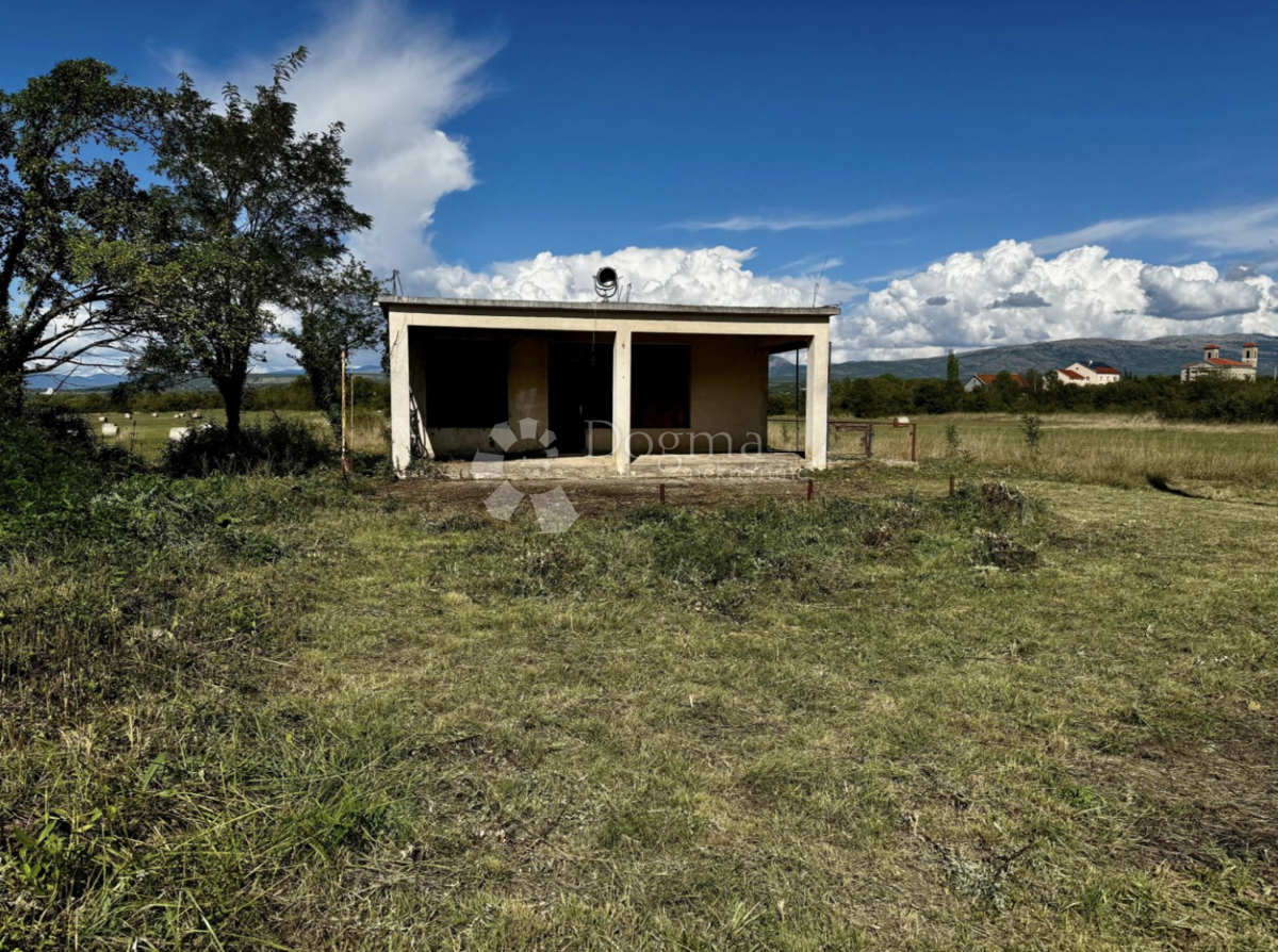 Casa Indipendente a Piano Terra con Ampio Terreno – Opportunità di Ristrutturazione