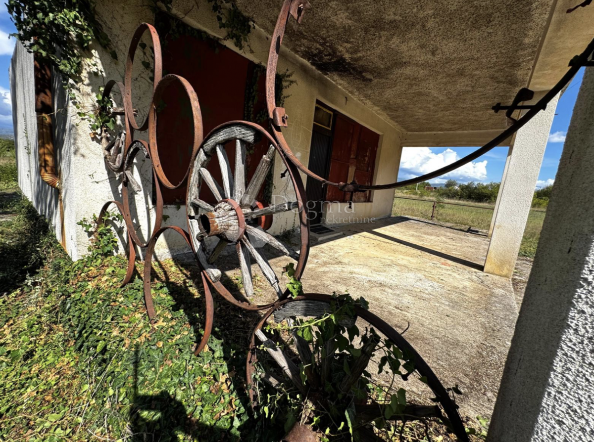 Casa Indipendente a Piano Terra con Ampio Terreno – Opportunità di Ristrutturazione