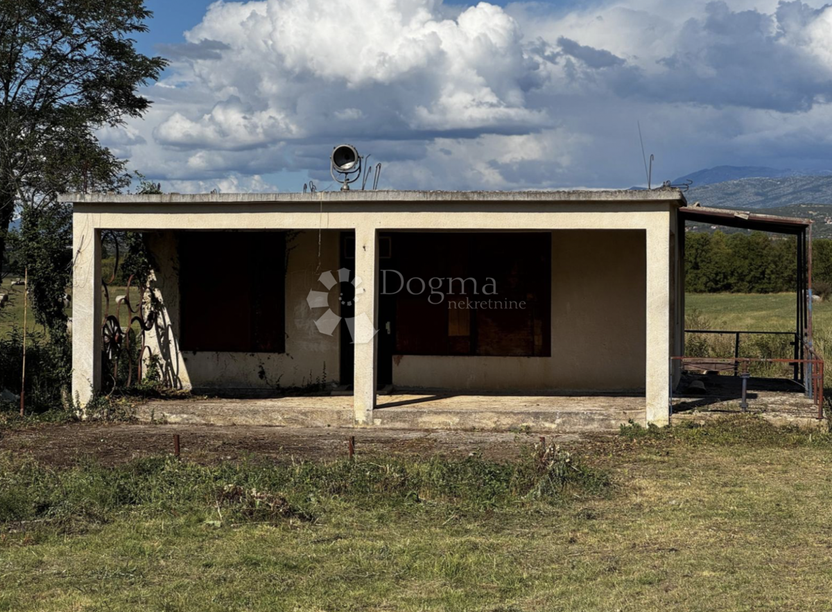 Casa Indipendente a Piano Terra con Ampio Terreno – Opportunità di Ristrutturazione