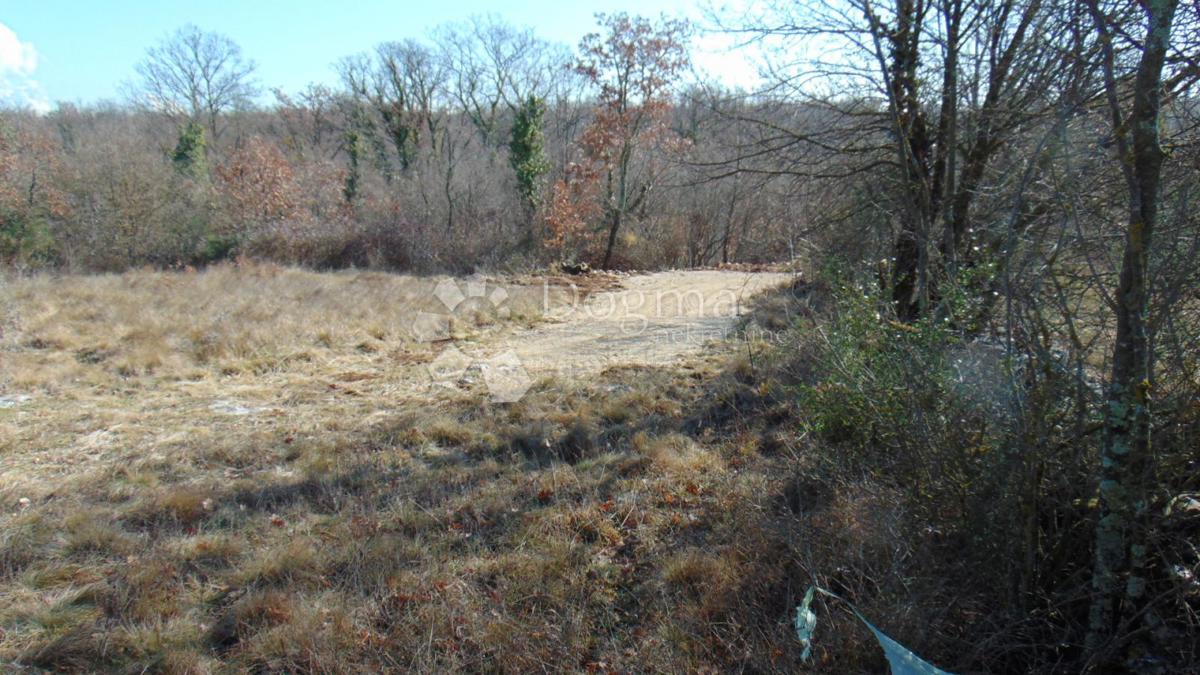 Terreno Šajini, Barban, 3.352m2