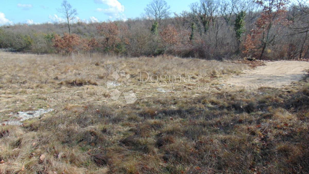 Terreno Šajini, Barban, 3.352m2