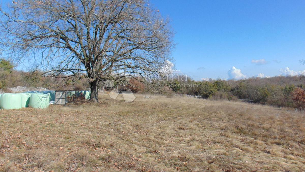 Terreno Šajini, Barban, 3.352m2