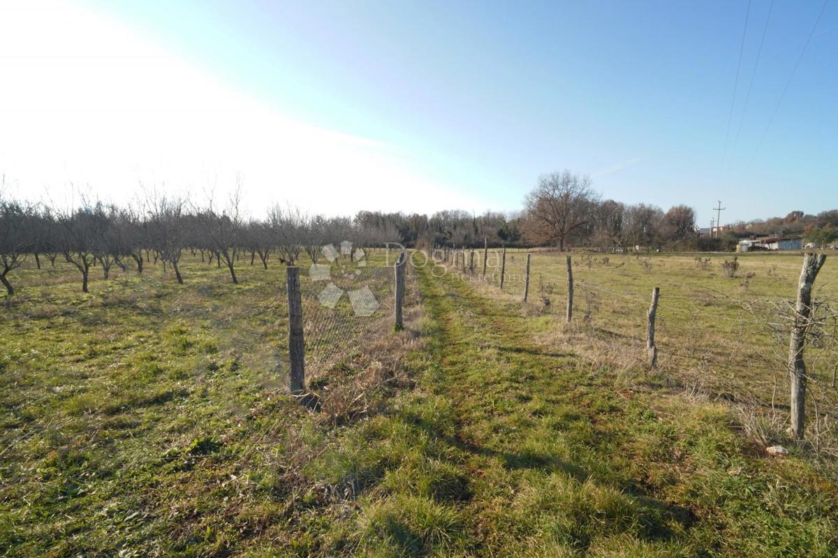 Terreno edificabile Fuškulin, Poreč, 47.418m2