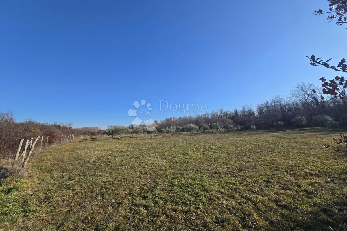 Terreno edificabile Fuškulin, Poreč, 47.418m2