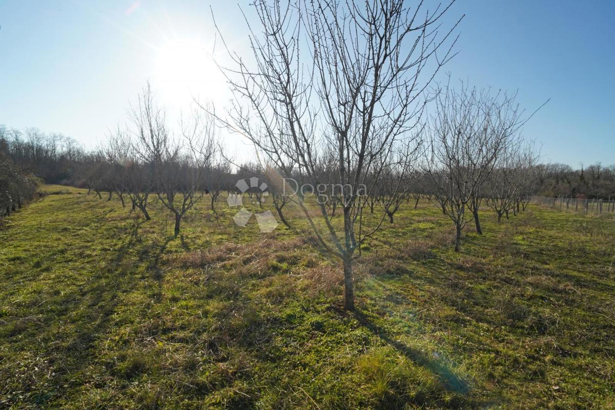Terreno edificabile Fuškulin, Poreč, 47.418m2