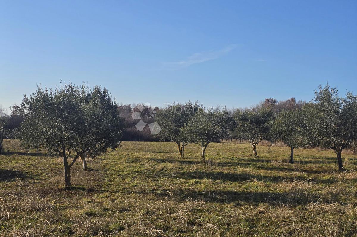 Terreno edificabile Fuškulin, Poreč, 47.418m2