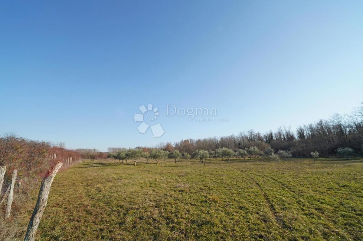 Terreno edificabile Fuškulin, Poreč, 47.418m2