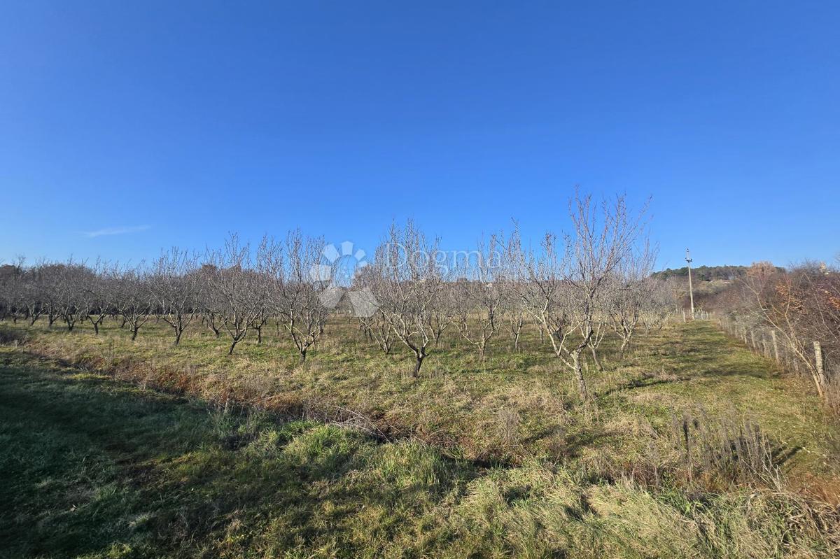 Terreno edificabile Fuškulin, Poreč, 47.418m2