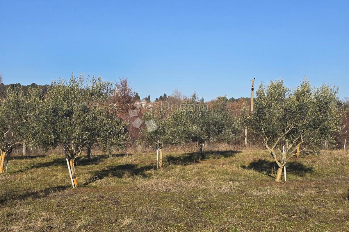 Terreno edificabile Fuškulin, Poreč, 47.418m2