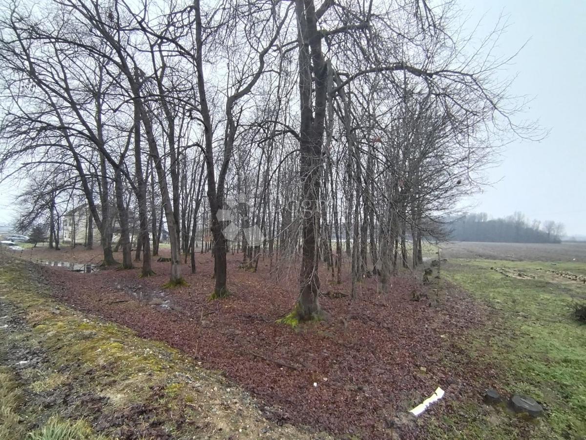 Casa Lipovec Lonjski, Kloštar Ivanić, 303m2