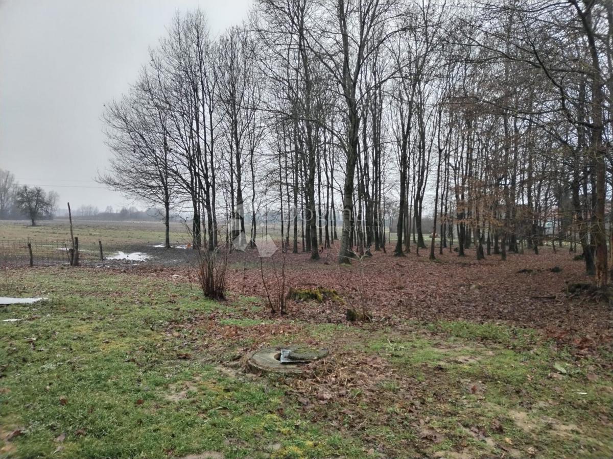 Casa Lipovec Lonjski, Kloštar Ivanić, 303m2