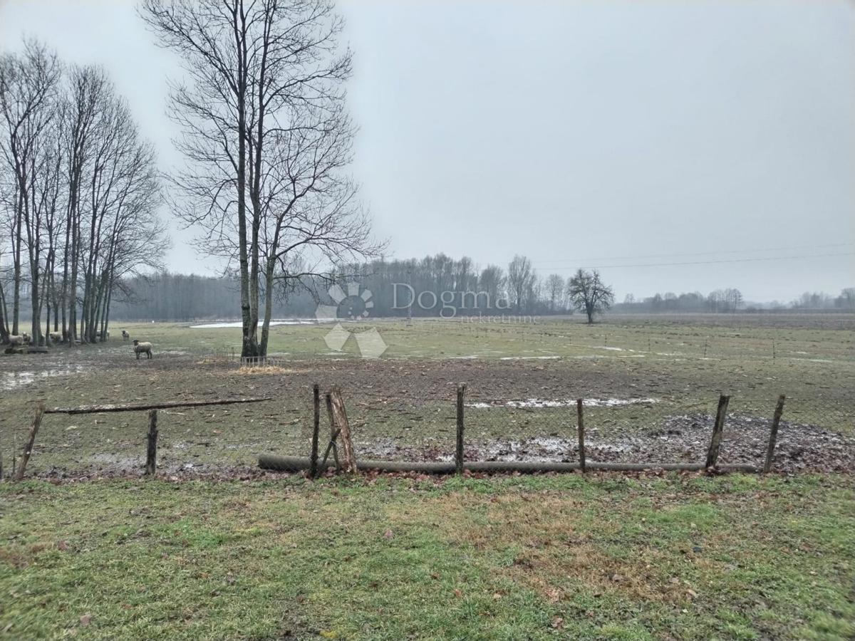 Casa Lipovec Lonjski, Kloštar Ivanić, 303m2