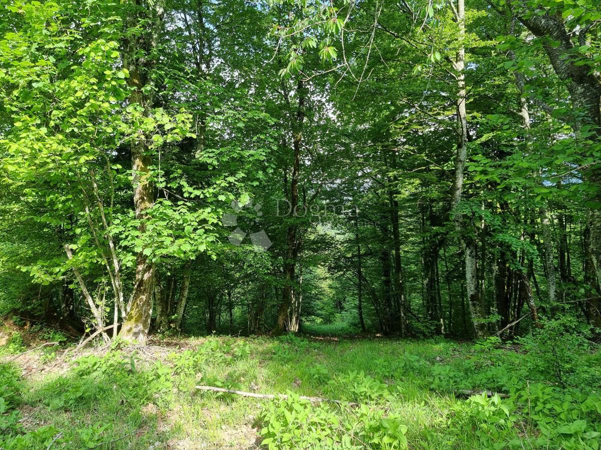 Terreno agricolo Delnice, 75,56m2