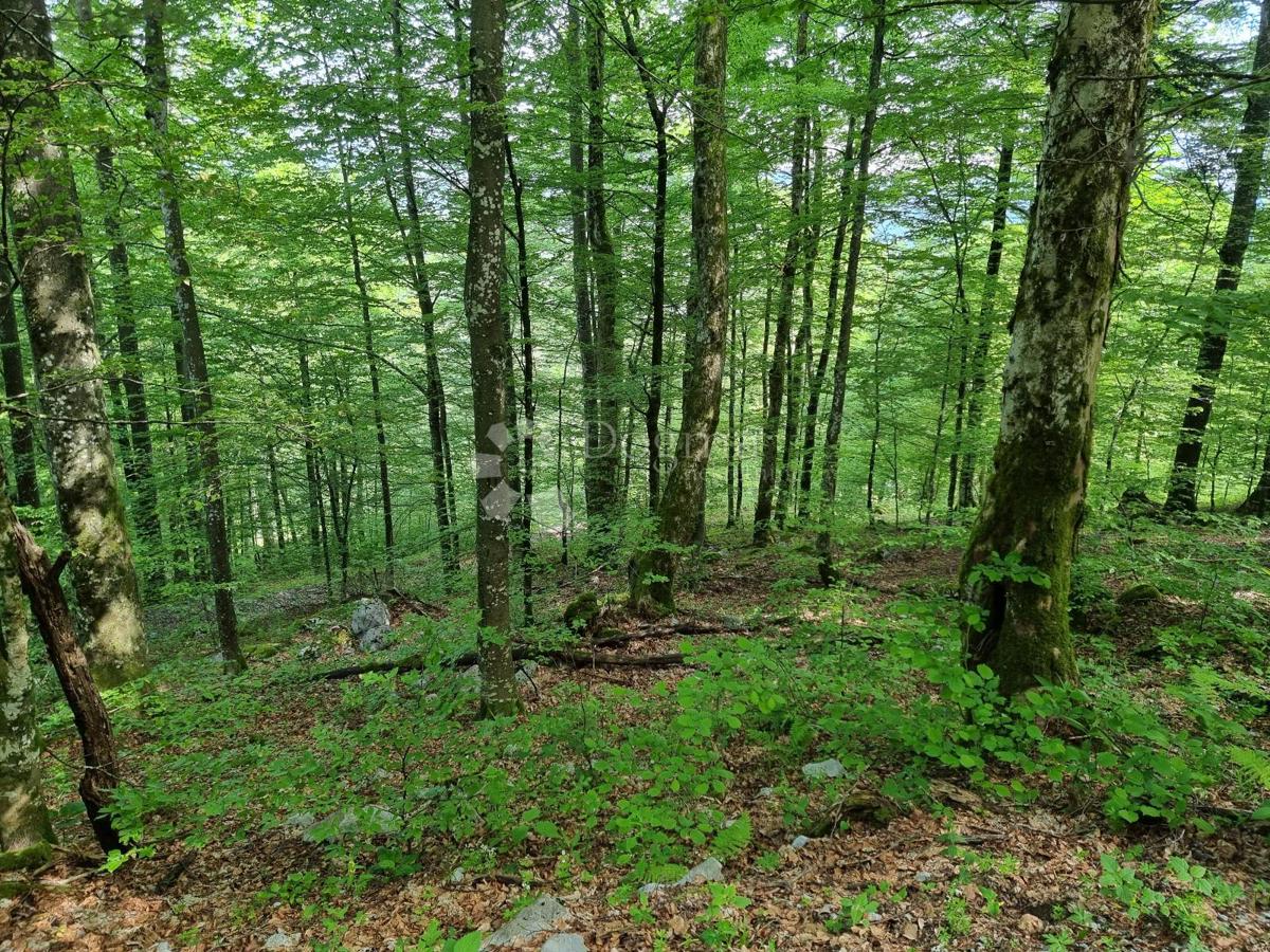 Terreno agricolo Delnice, 75,56m2