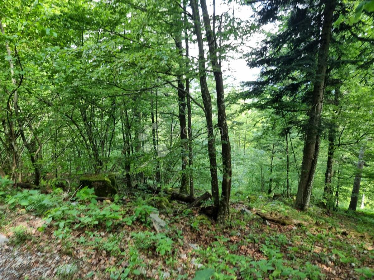 Terreno agricolo Delnice, 75,56m2