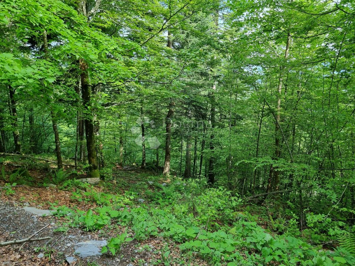 Terreno agricolo Delnice, 75,56m2