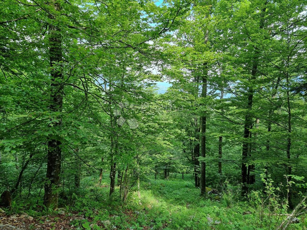 Terreno agricolo Delnice, 75,56m2