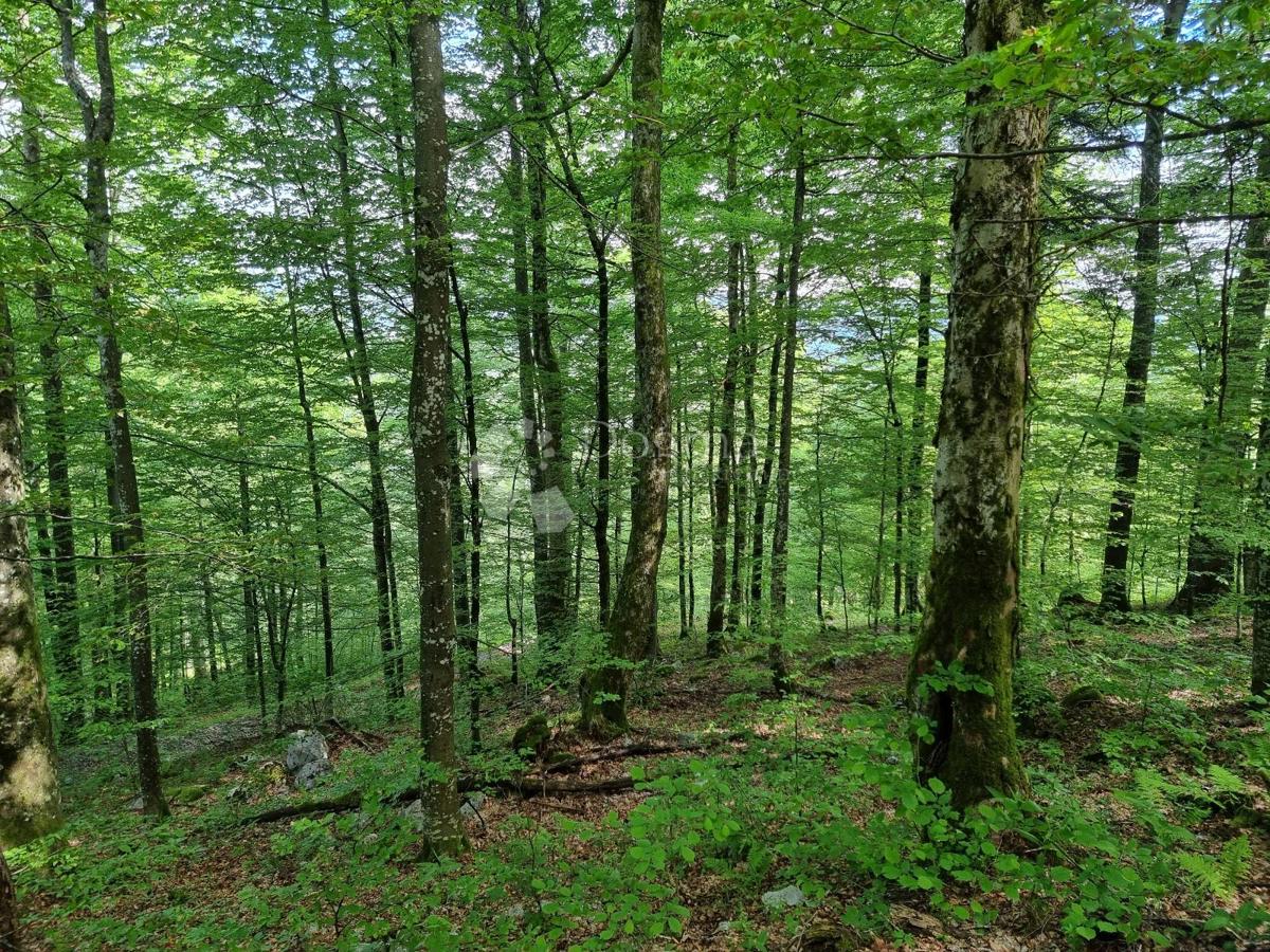 Terreno agricolo Delnice, 75,56m2