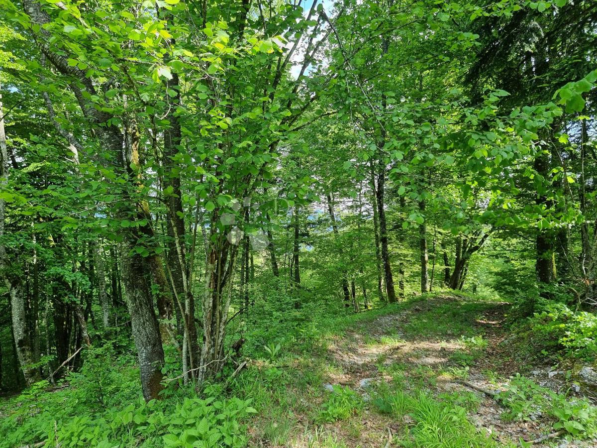 Terreno agricolo Delnice, 75,56m2