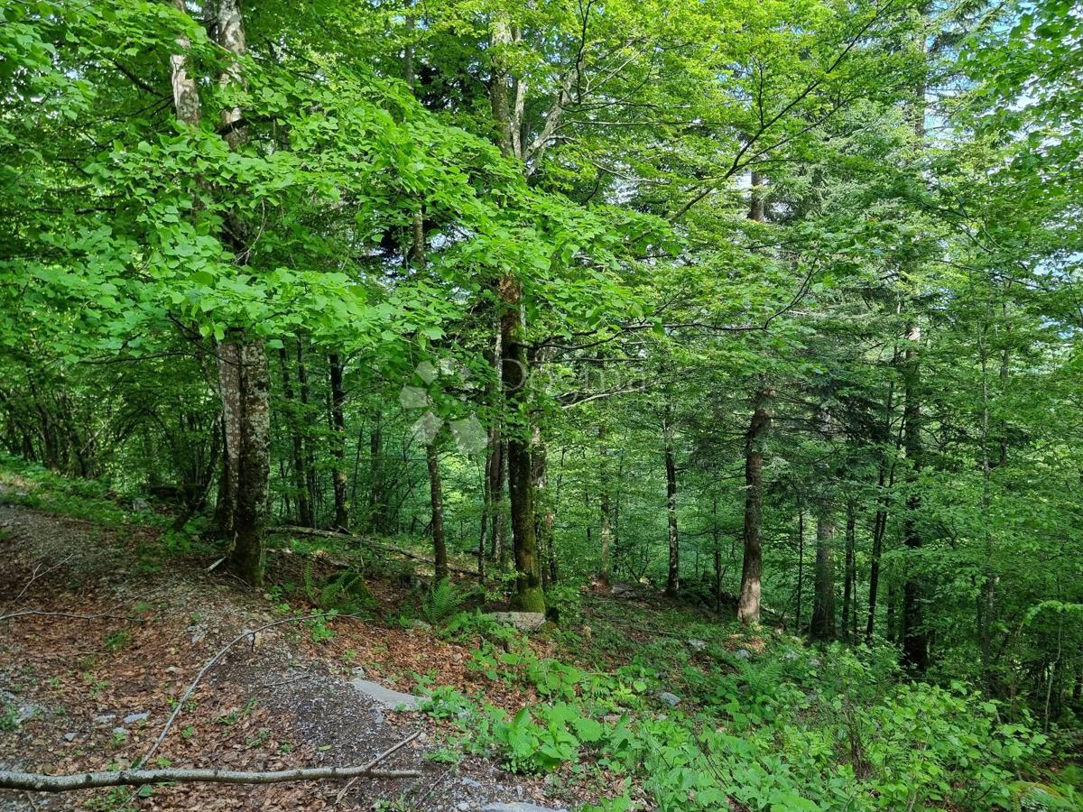 Terreno agricolo Delnice, 75,56m2