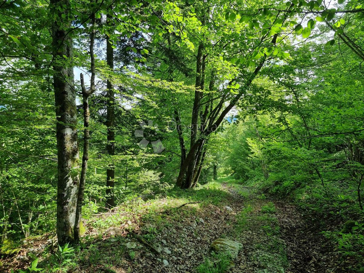 Terreno agricolo Delnice, 75,56m2