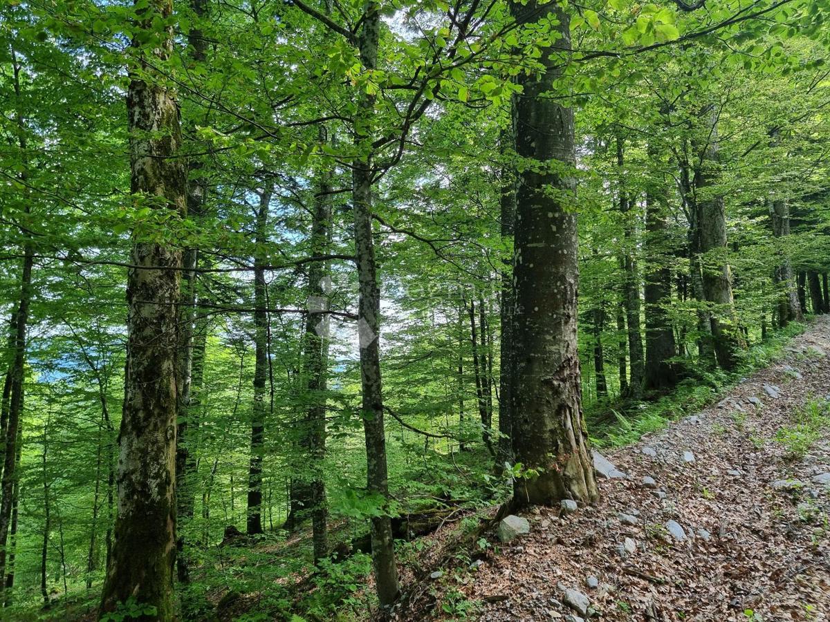 Terreno agricolo Delnice, 75,56m2