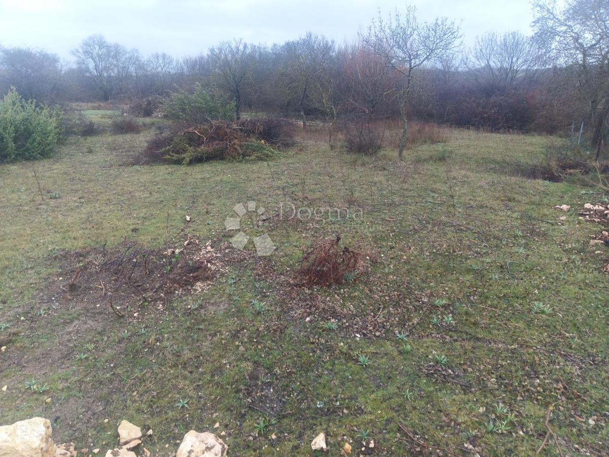 Terreno edificabile Briševo, Poličnik, 2.178m2