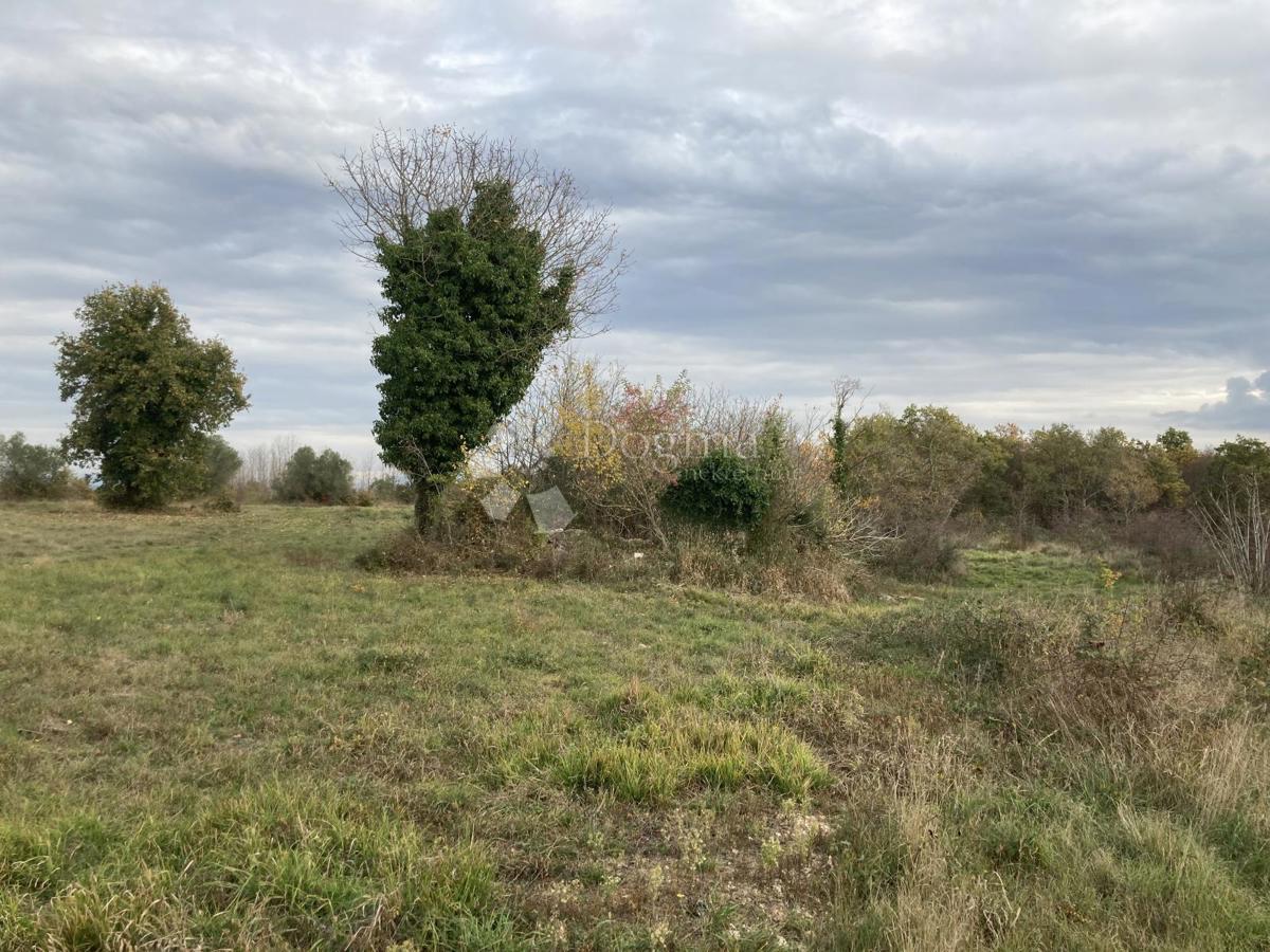 Terreno edificabile Brtonigla, Brtonigla, Brtonigla, Istarska županija, 652m2