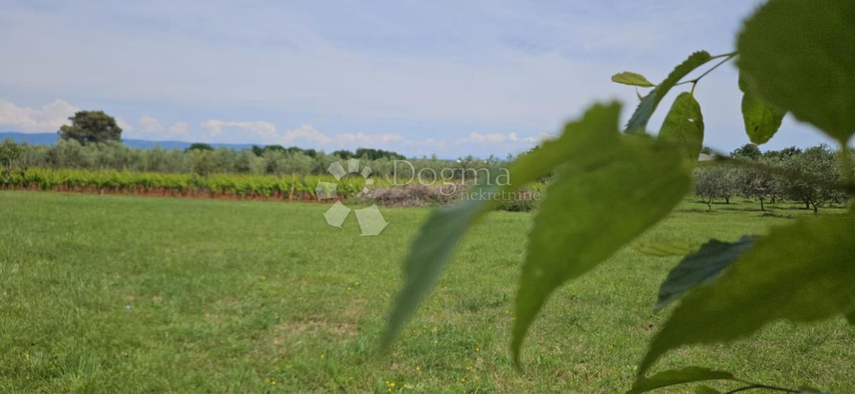 Casa Marčana, 186m2