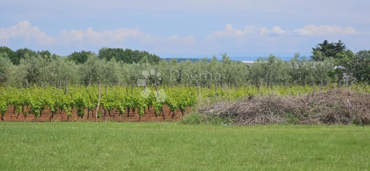 Casa Marčana, 186m2