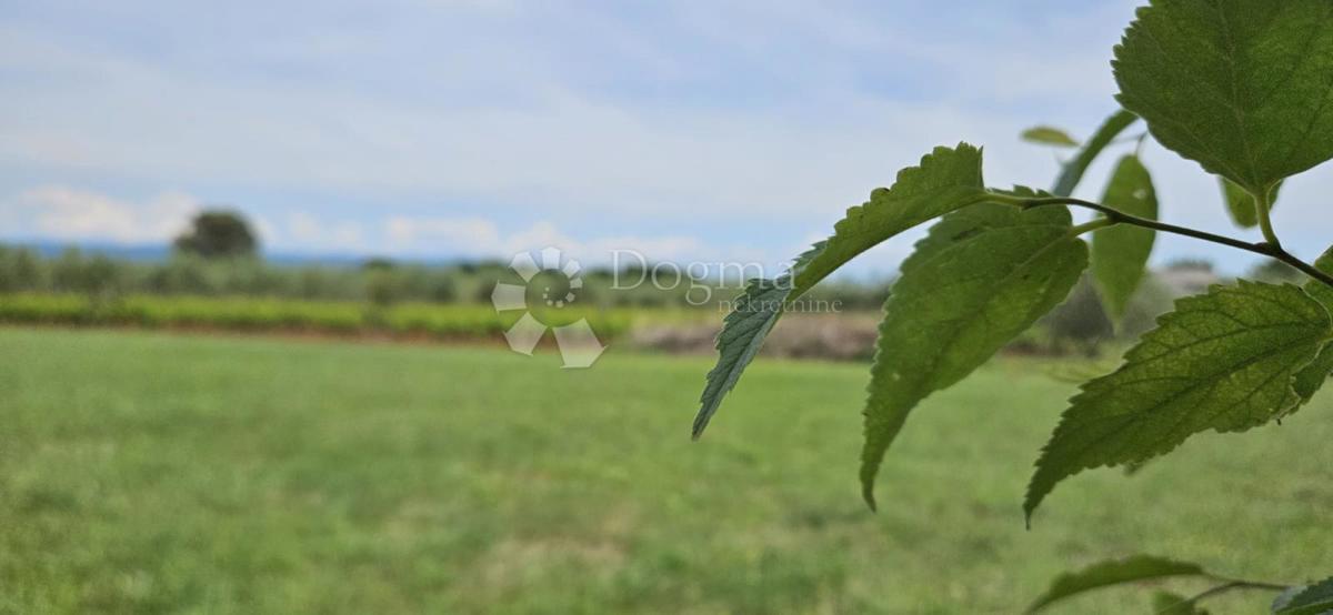 Casa Marčana, 186m2