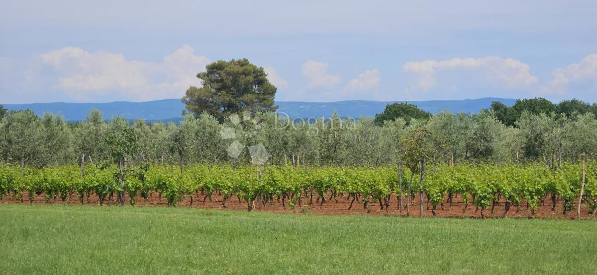 Casa Marčana, 186m2