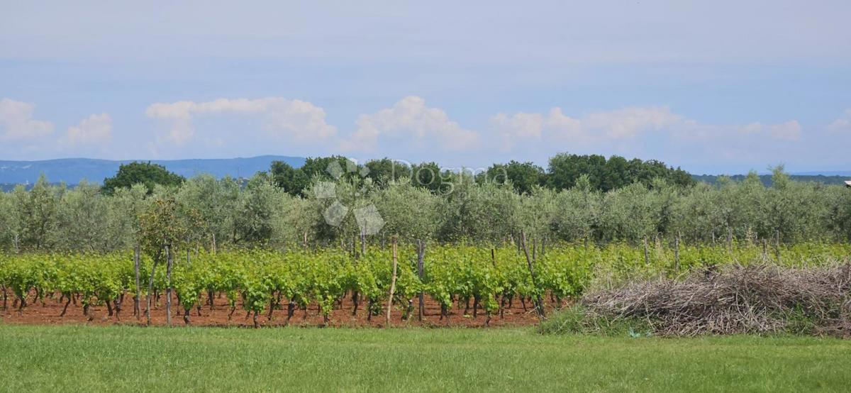 Casa Marčana, 186m2