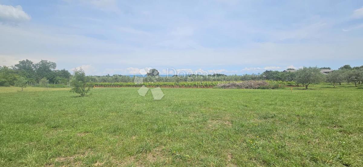 Casa Marčana, 186m2