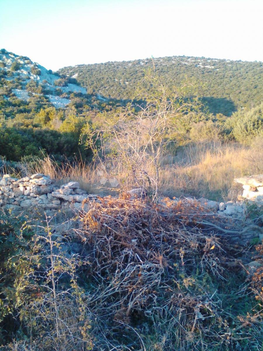 Terreno agricolo Banjevci, Stankovci, 3.330m2