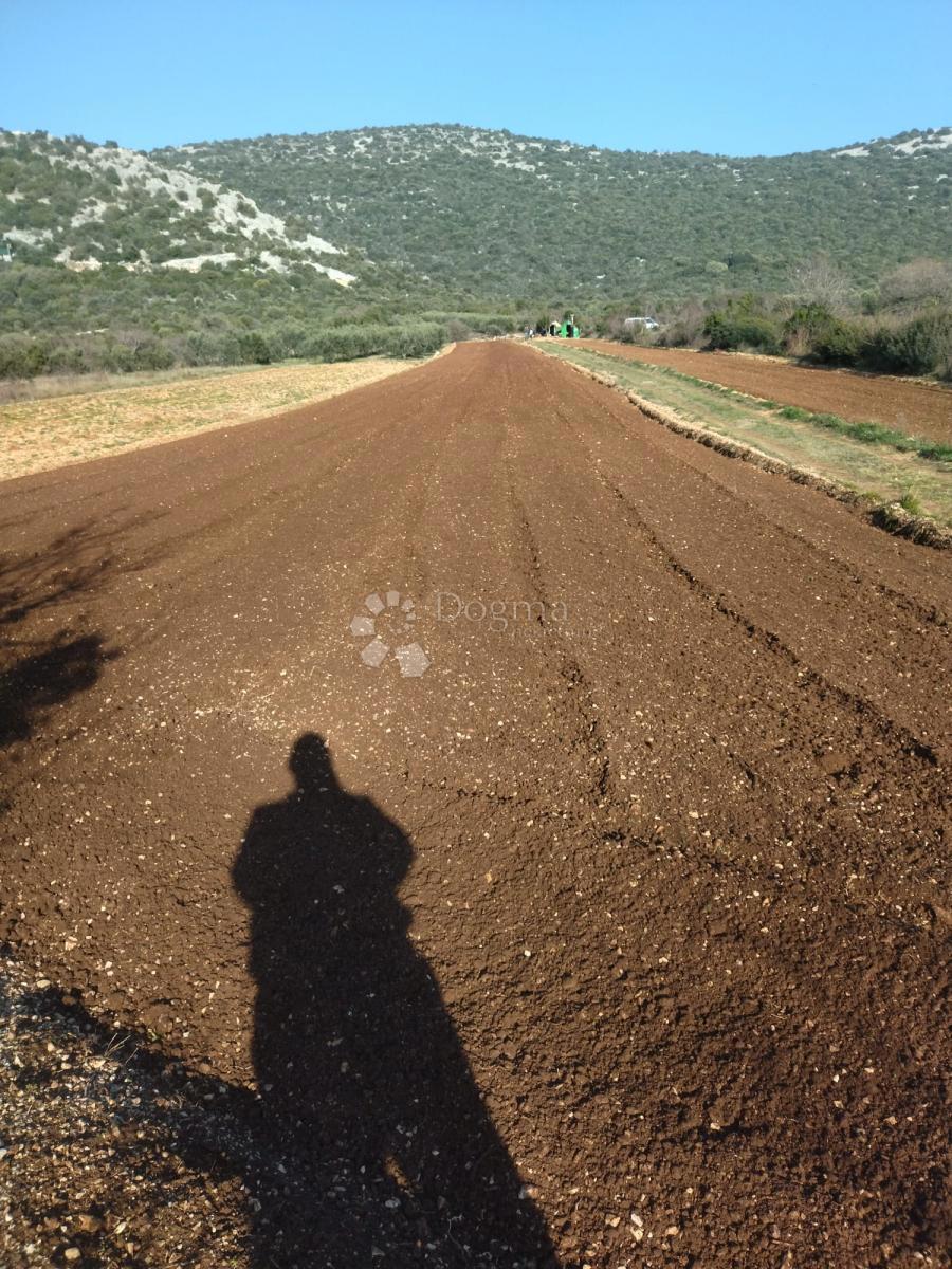 Terreno agricolo Banjevci, Stankovci, 3.330m2