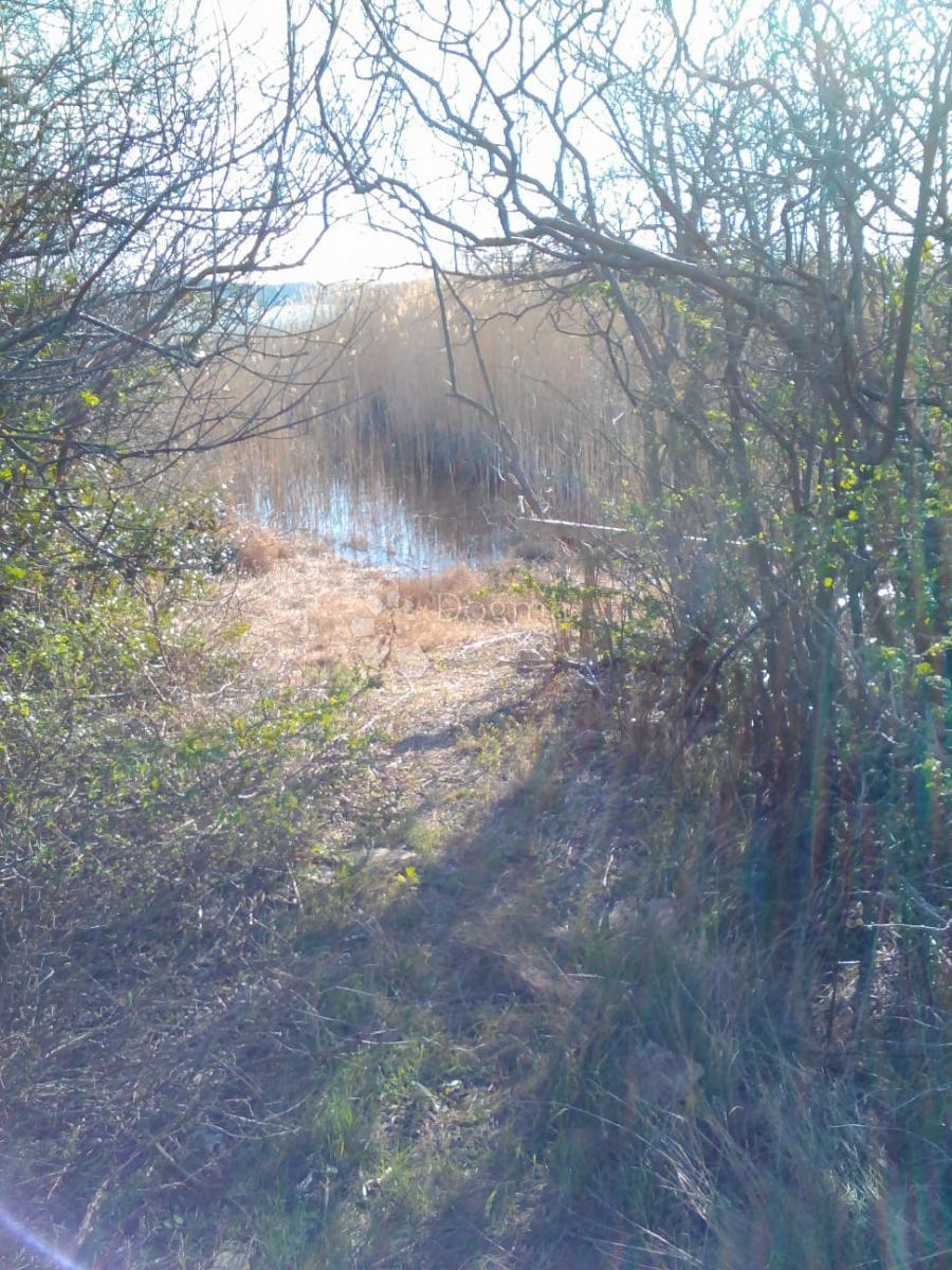 Terreno agricolo Banjevci, Stankovci, 3.330m2