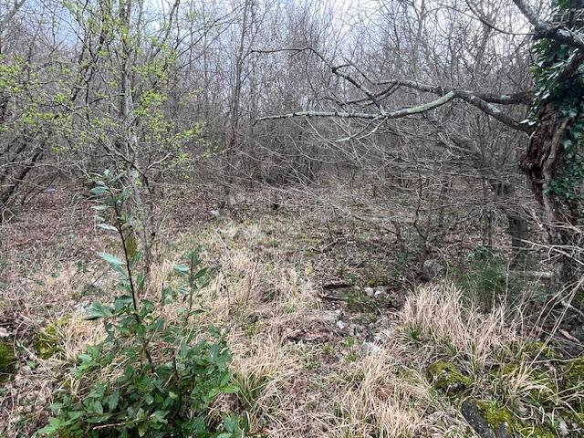 Terreno edificabile Tribalj, Vinodolska Općina, 907m2