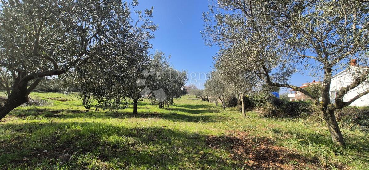 Terreno edificabile Peruški, Marčana, 492m2