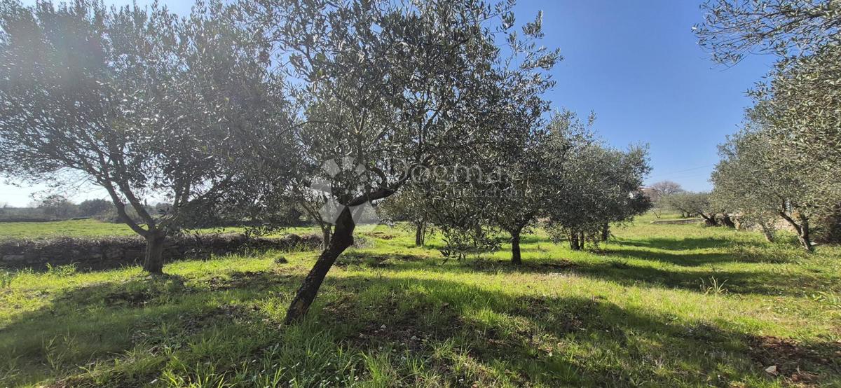Terreno edificabile Peruški, Marčana, 492m2