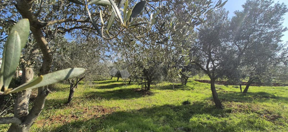 Terreno edificabile Peruški, Marčana, 492m2