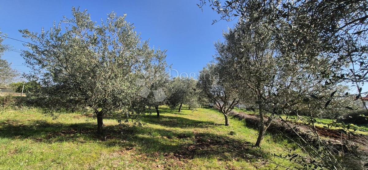 Terreno edificabile Peruški, Marčana, 492m2