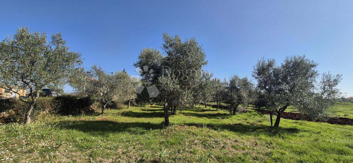 Terreno edificabile Peruški, Marčana, 492m2