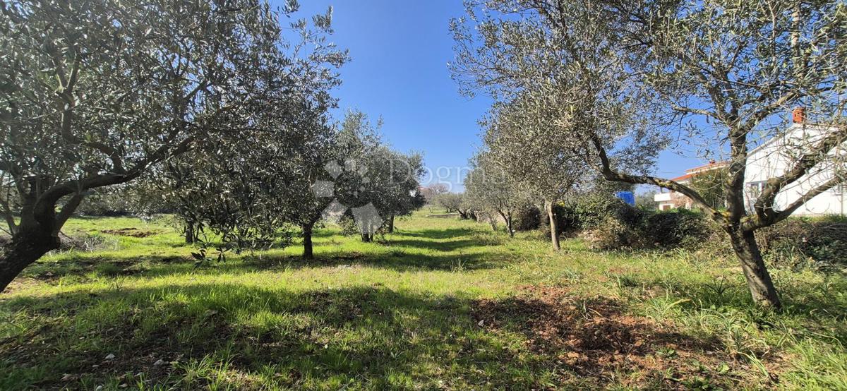 Terreno edificabile Peruški, Marčana, 492m2