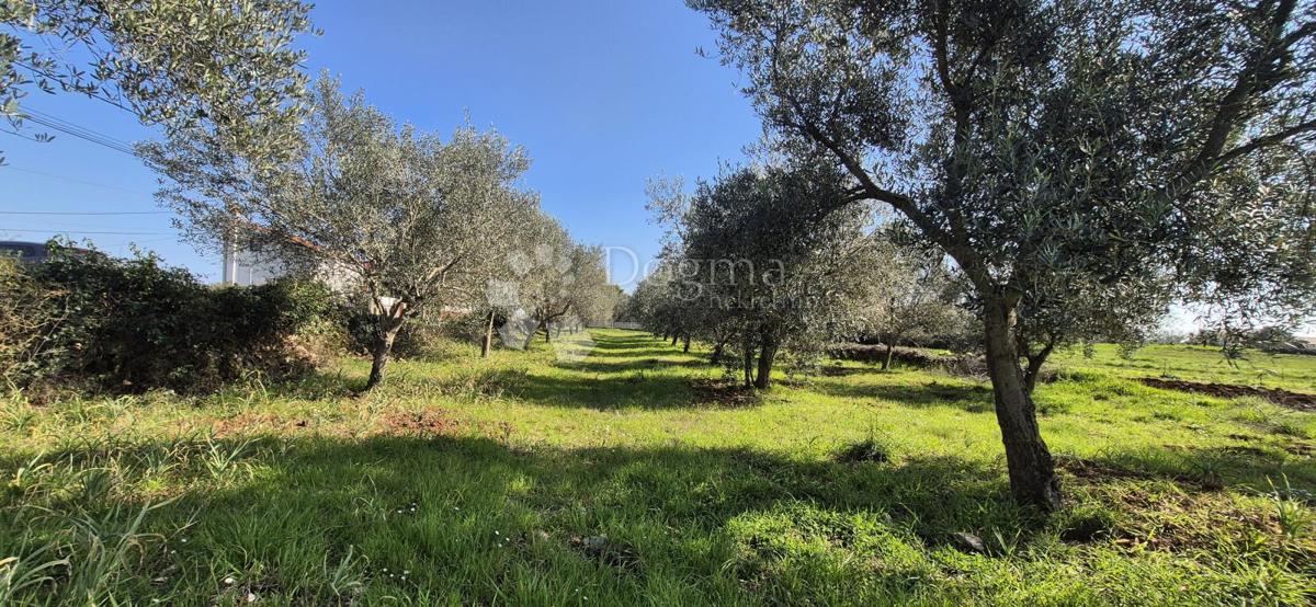 Terreno edificabile Peruški, Marčana, 492m2